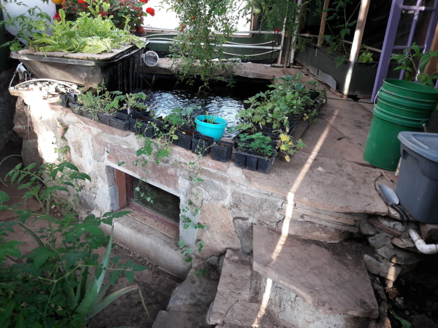 Brians-Masonry-aquaponics-north-side-June-10th-2018.jpg
