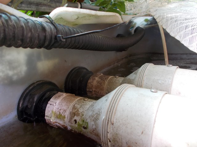 DSCN1545 (Small).JPG