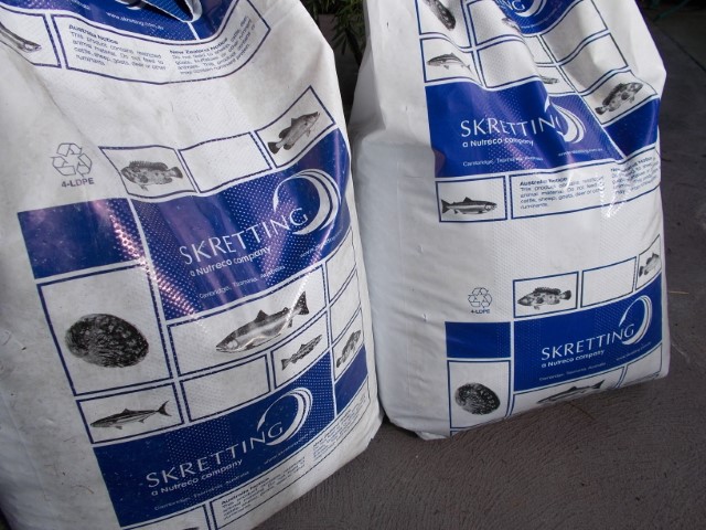 DSCN1714 (Small).jpeg