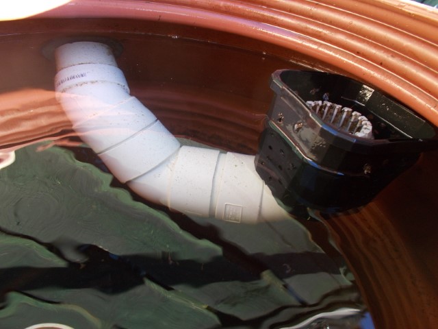 DSCN1744 (Small).jpeg