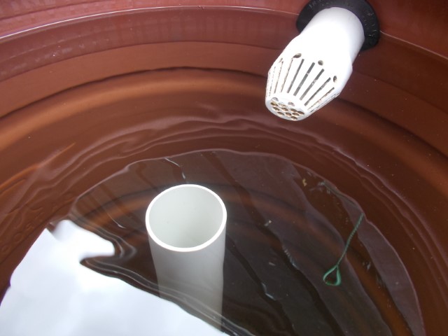 DSCN1454 (Small).jpeg