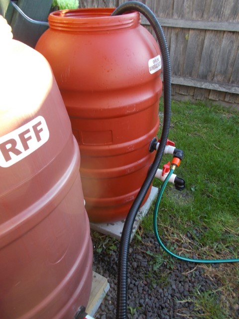 DSCN1747 (Small).jpeg