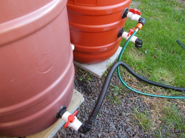 DSCN1739 (Small).jpeg