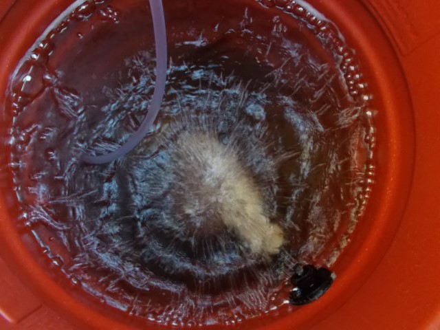 DSCN1743 (Small).jpeg