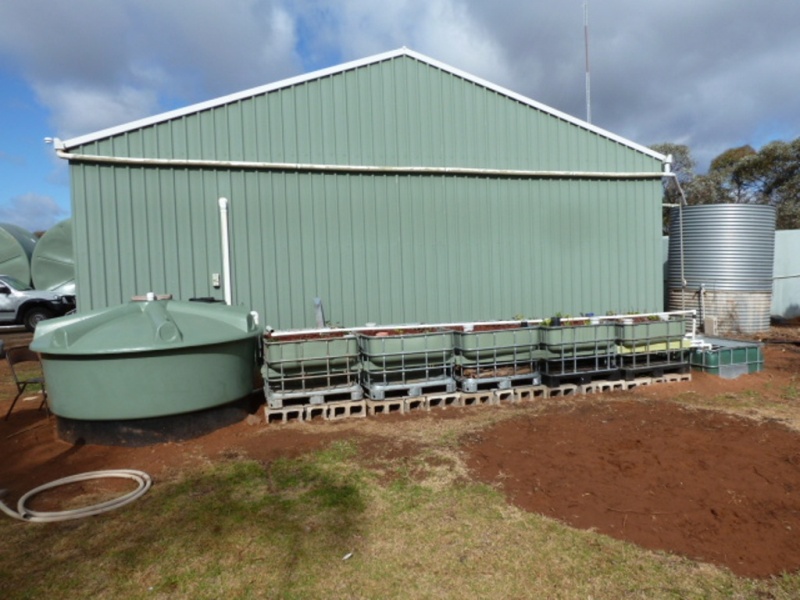 System 4 June 15  2015.JPG