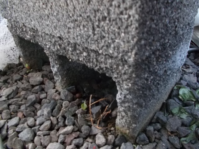 DSCN1759 (Small).jpeg