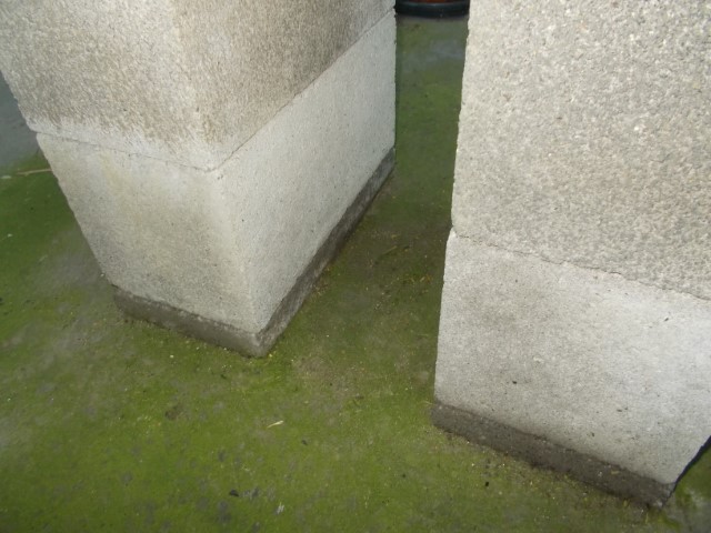 DSCN1761 (Small).jpeg