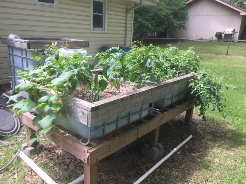 IMG_5414 (Custom).JPG