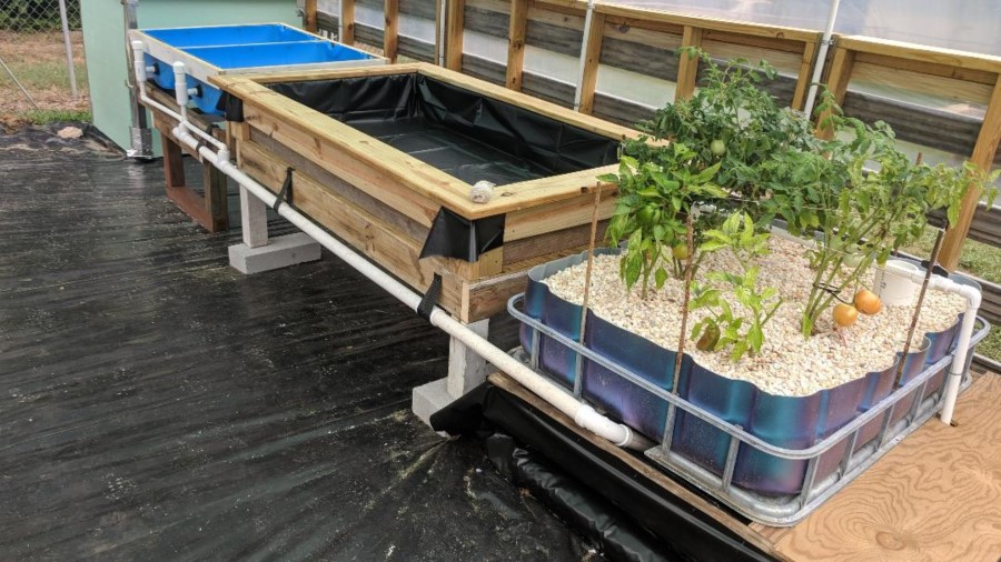 New aquaponics garden set up3.jpg