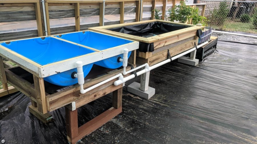 New aquaponics garden set up7.jpg
