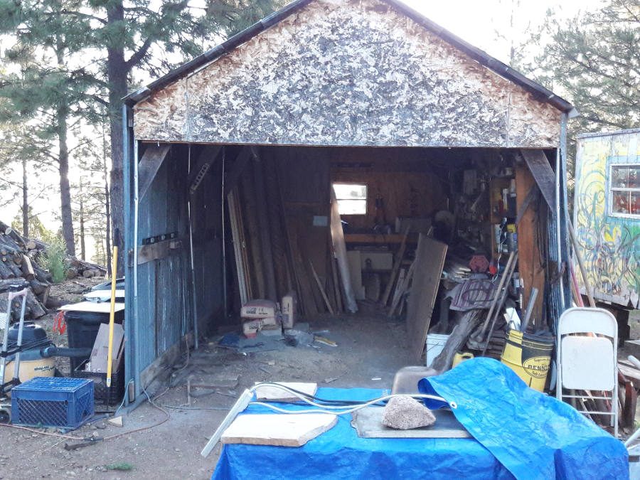 Lumber-shed-clearing-found-doors-yay-7-10-18.jpg