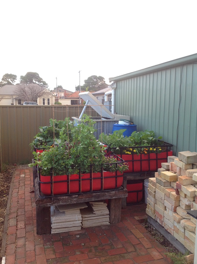 180712 Aquaponics1.jpg