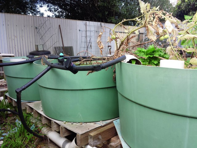 IMG_20160829_130909 (Small).jpg