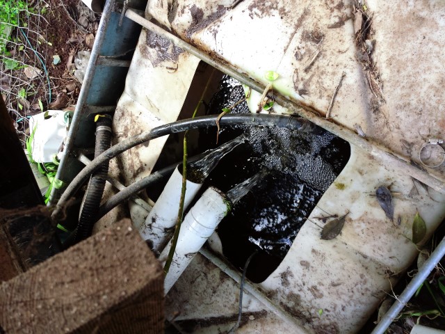 IMG_20160829_130928 (Small).jpg