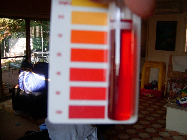 nitrates in goldie tank.JPG