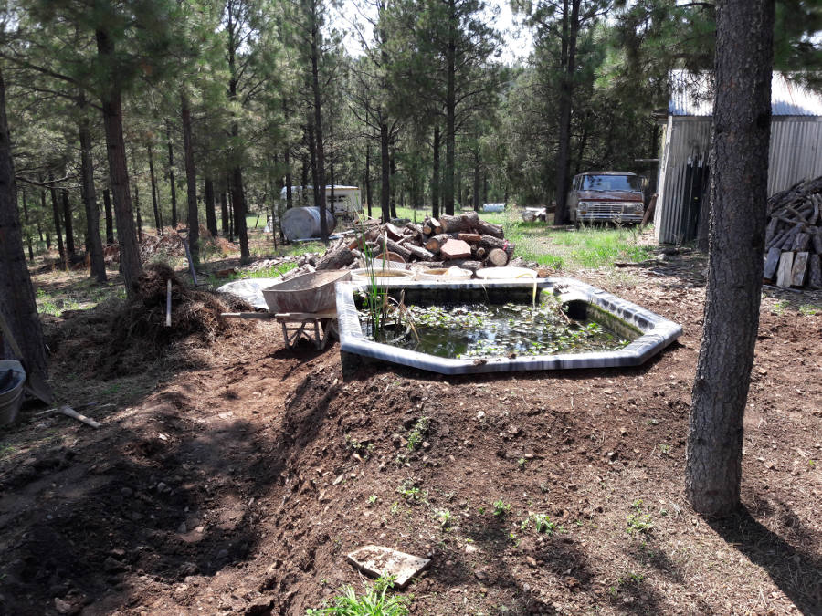 Hugelkultur-berm-Koi-pond-half-drained.jpg