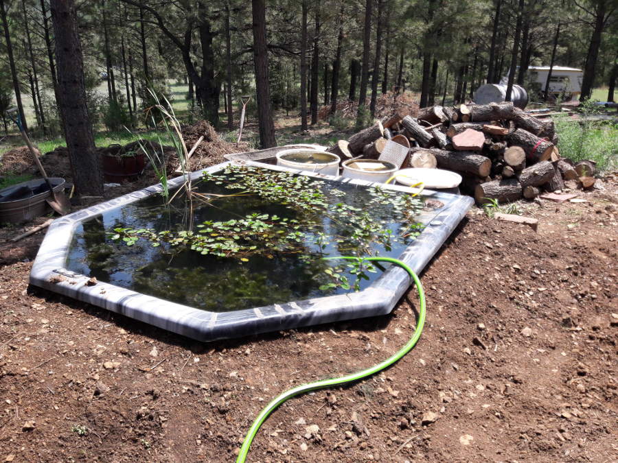 Hugelkultur-berm-Koi-pond-Leveled-refilled.jpg