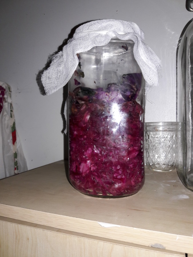 Sauerkraut-Yummy-for-my-microbiome-August-2-18.jpg