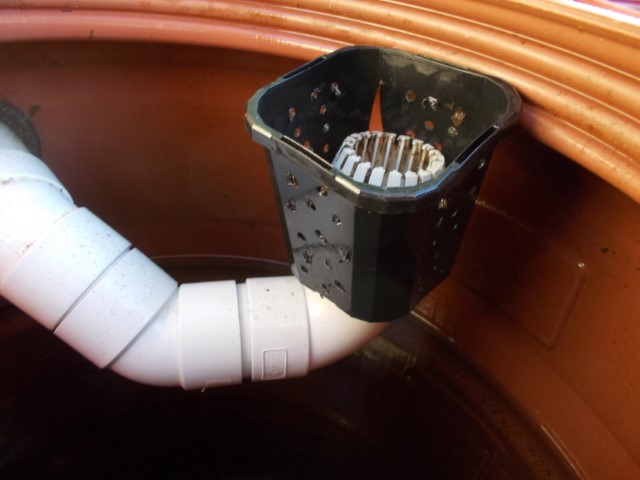 DSCN1748 (Small).jpeg