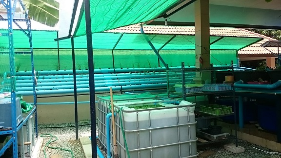 36605075_1761750970609548_7312747863769874432_n (1).jpg