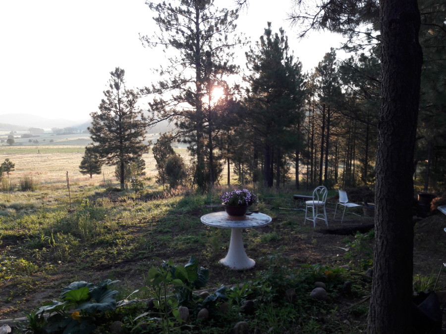 Good Morning-Aug-5th-2018.jpg