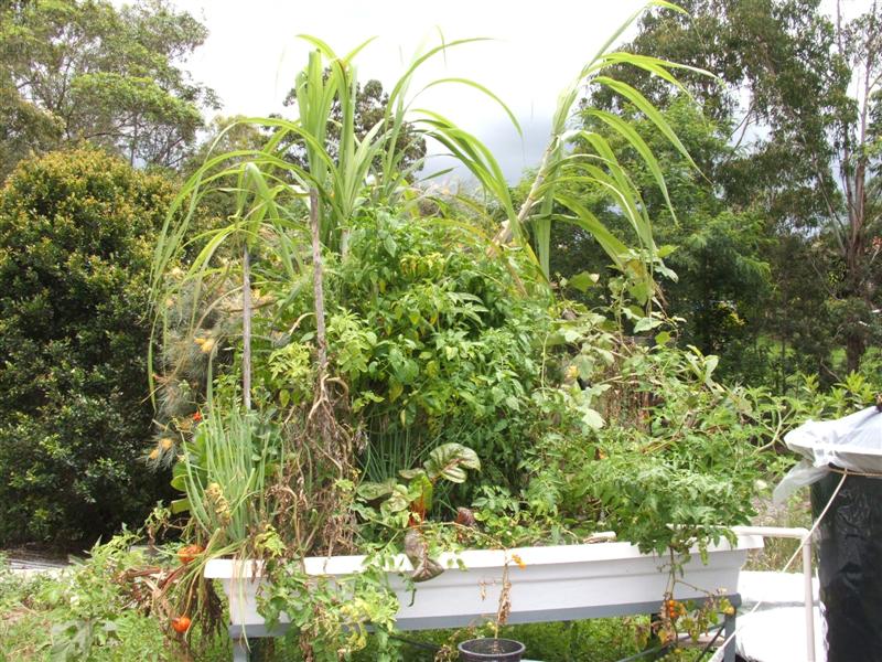 DSCF5019 (Medium).JPG