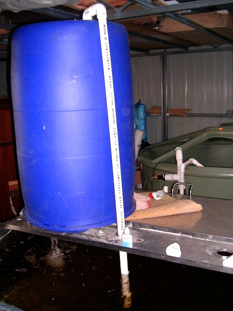 barra tank and biofilter.JPG