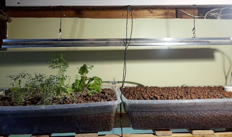 image-2018-08-13 (1).jpg