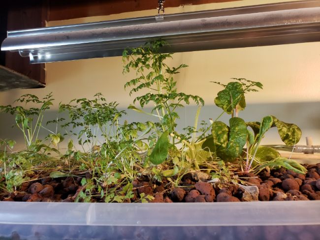 image-2018-08-13 (2).jpg