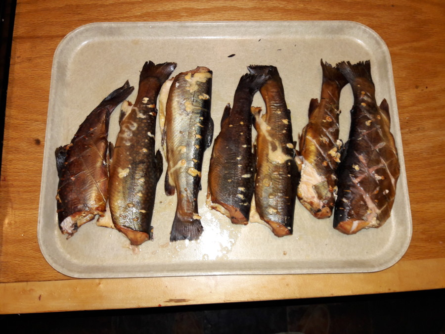 Magnificent-7-smoked-Brook-trout.jpg
