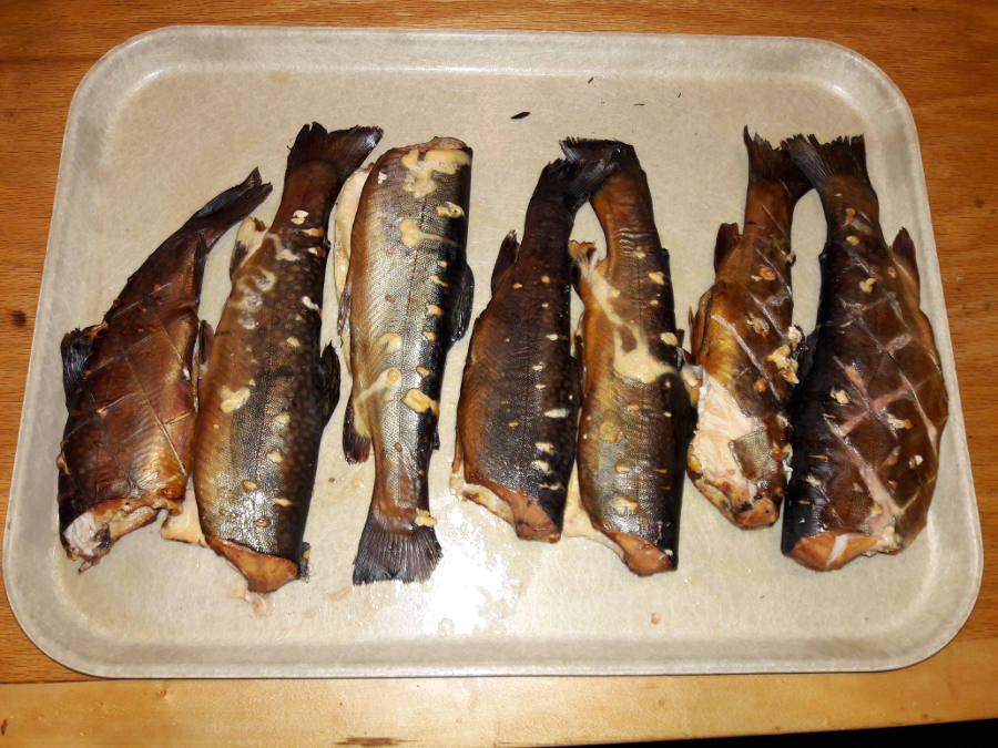 Magnificent-7-smoked-Brook-trout3.jpg
