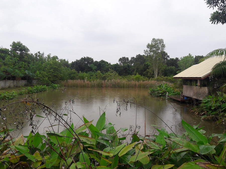 20180829_141732 small.jpg