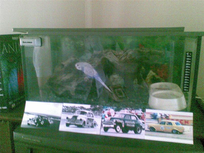 06022008(003) (Medium).jpg