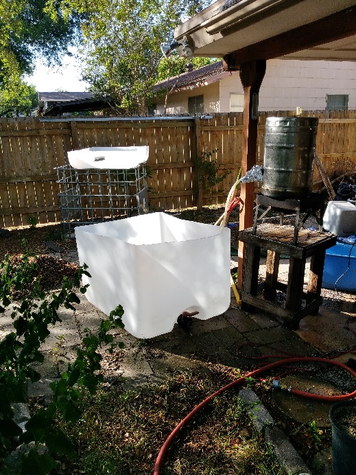 Cleaned and Chopped.jpg