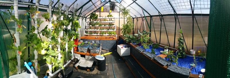 20180729_123847 (800x274).jpg