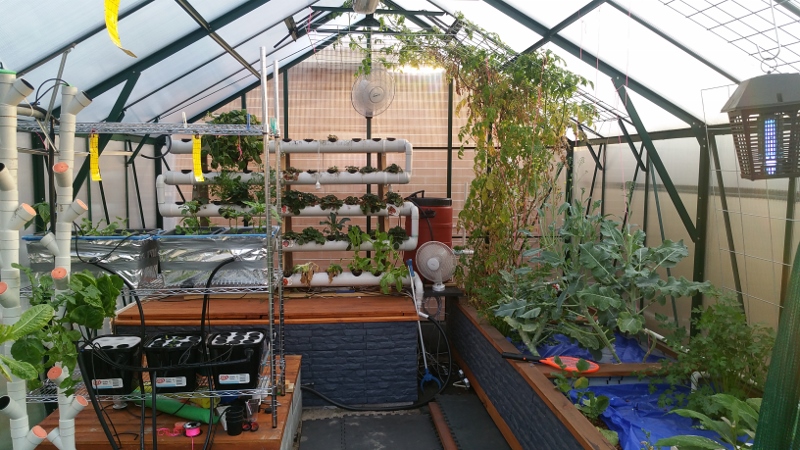 20180911_170000 (800x450).jpg