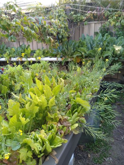 Ap System 18-09-2018.jpg