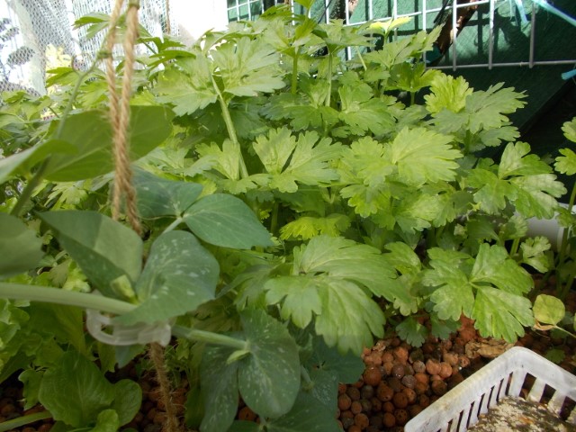 DSCN1813 (Small).jpeg