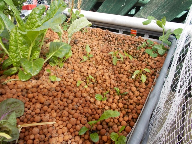 DSCN1803 (Small).jpeg