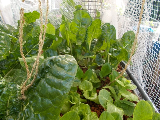 DSCN1801 (Small).jpeg