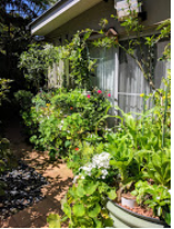 Grow Beds Gone Mad.PNG