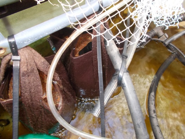 DSCN1823 (Small).jpeg