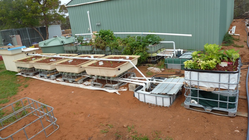 AAA Build on Cages.JPG