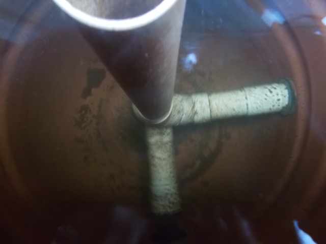 DSCN1836 (Small).jpeg