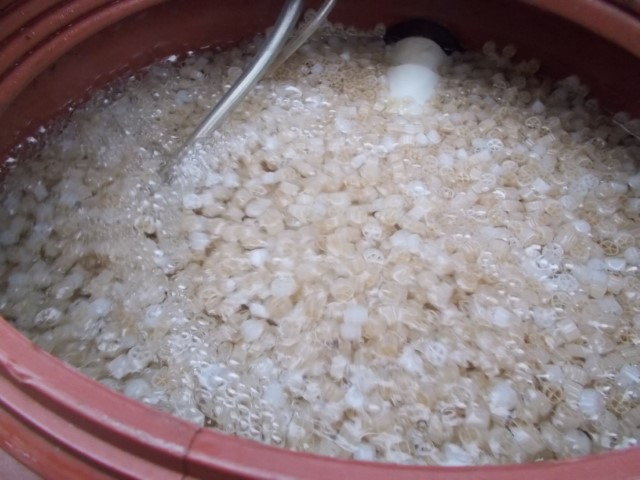 DSCN1834 (Small).jpeg