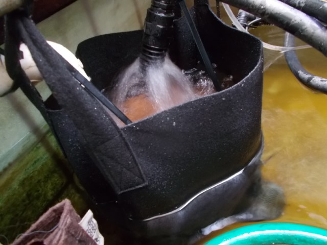 DSCN1831 (Small).jpeg