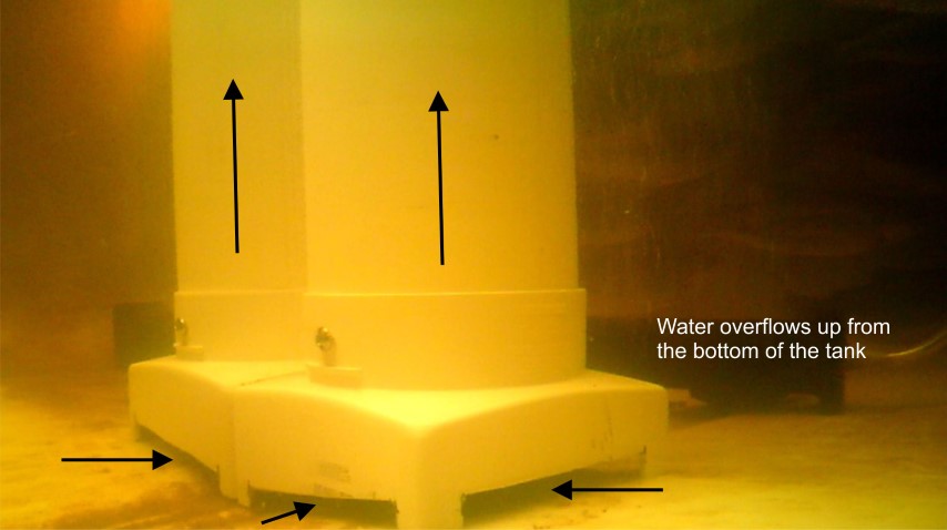 SLO Bottom (Small).jpg