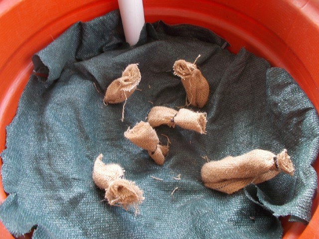 hessian - burlap wicking .jpeg