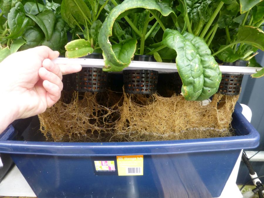 20161025_DFAP_Sp DWC 7.jpg