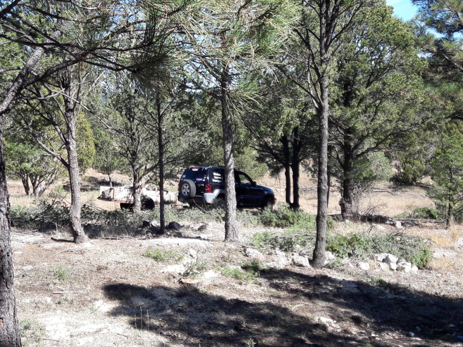 Forest-work-slash-placed-for-runoff-collection-Jeep-trailer-late-October-2018.jpg
